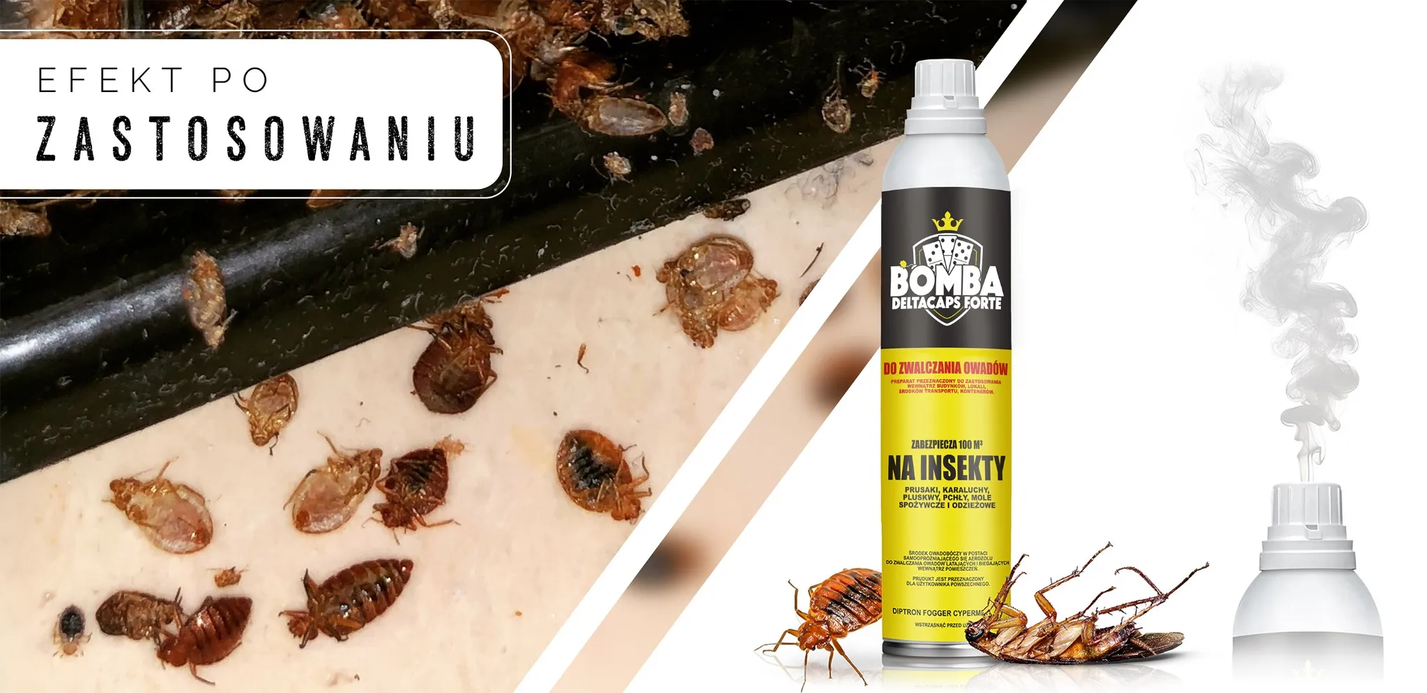 Efekt działania środka owadobójczego Bomba Deltacaps Forte – martwe pluskwy i karaluchy na podłodze obok puszki preparatu.