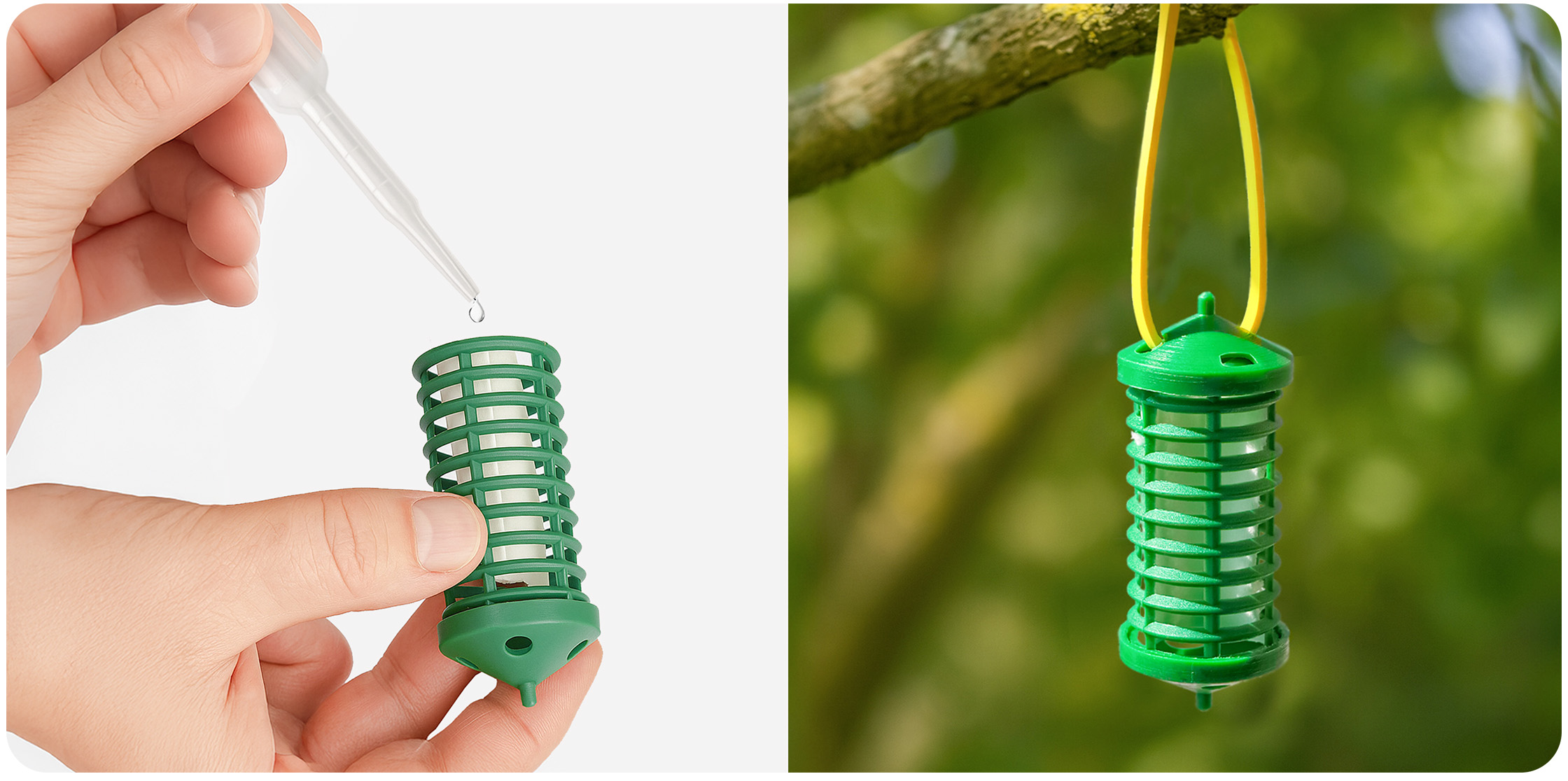 Zielony pojemnik na owady z białym wkładem, z którego dozowana jest ciecz, zawieszony na żółtym sznurku na gałęzi drzewa.