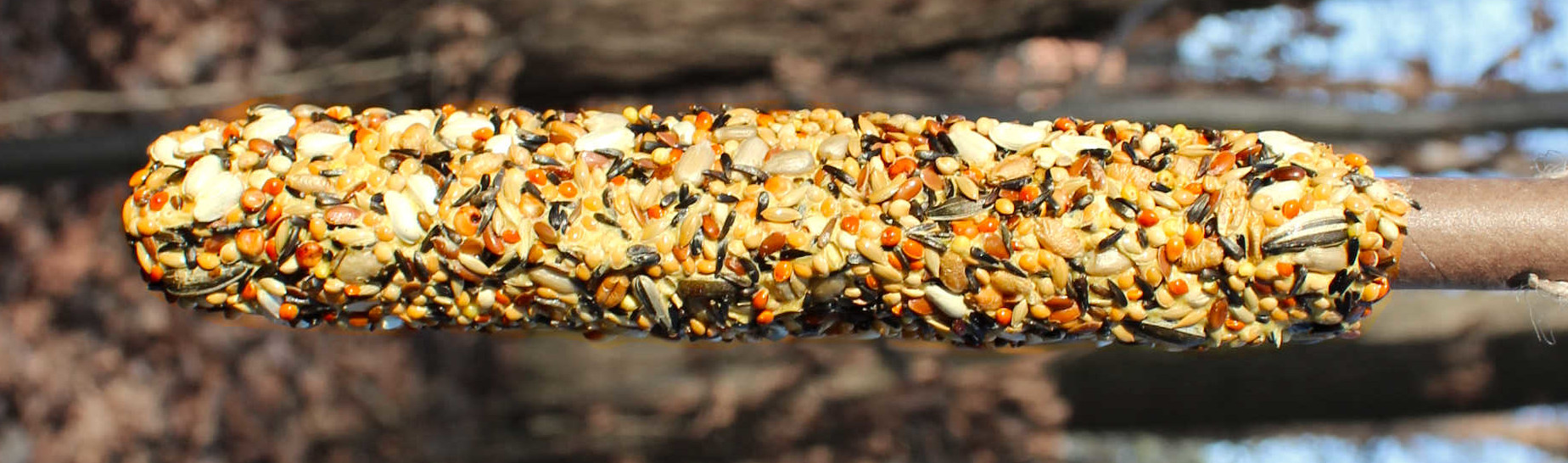 Kolba dla ptaków pokryta mieszanką nasion, zawieszona na patyku w otoczeniu drzew.