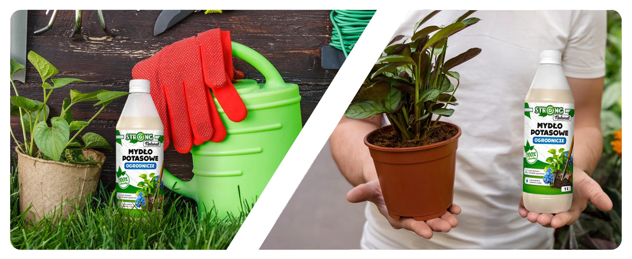 Mydło potasowe ogrodnicze Strong Natural 500 ml, obok konewka z rękawicami i roślina w doniczce trzymana w dłoniach