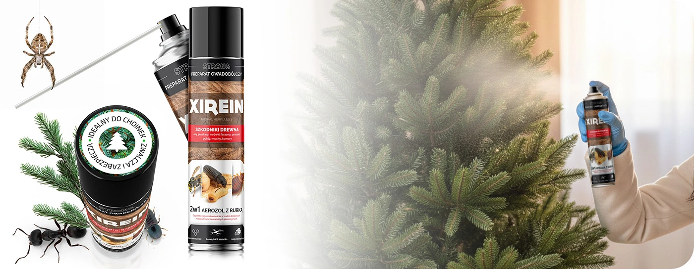 Preparat owadobójczy Xirein do choinek i drewna; widoczne insekty, aplikacja sprayem na gałęzie jodły przez osobę w rękawiczce.