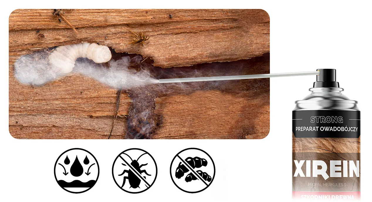 Preparat owadobójczy Xirein w aerozolu, aplikowany do kanału w drewnie, trafia bezpośrednio w larwę szkodnika.