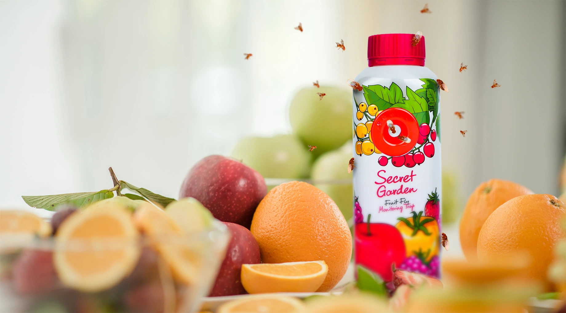 Pułapka na muszki owocówki Secret Garden wśród świeżych owoców, przyciągająca muszki owocowe w kuchni